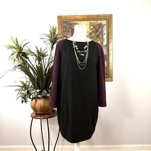 Zara Basic Women Large Black Colorblock Shift Dress Burgundy Long Sleeve Academi